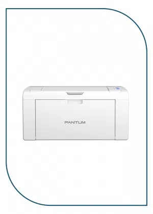 Pantum P2509W