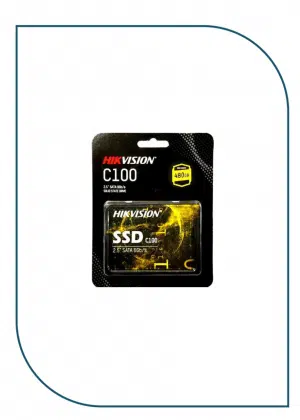 Hikvision C100 480GB