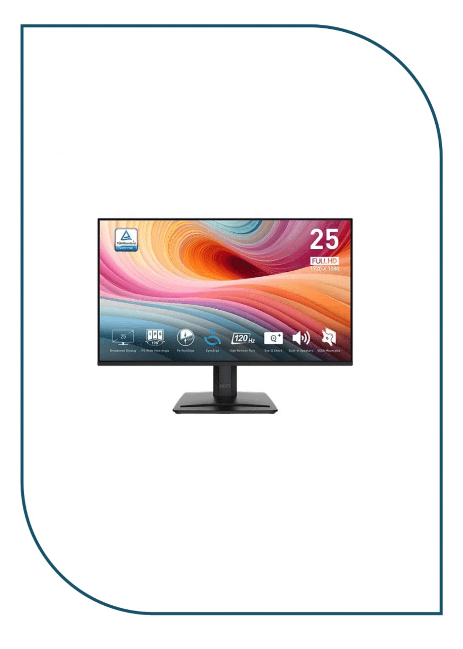 Monitor MSI PRO (MP251) E2 25 Inch IPS FHD 120Hz MP251